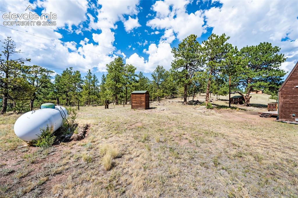 363 Arrowhead Drive Florissant CO 80816