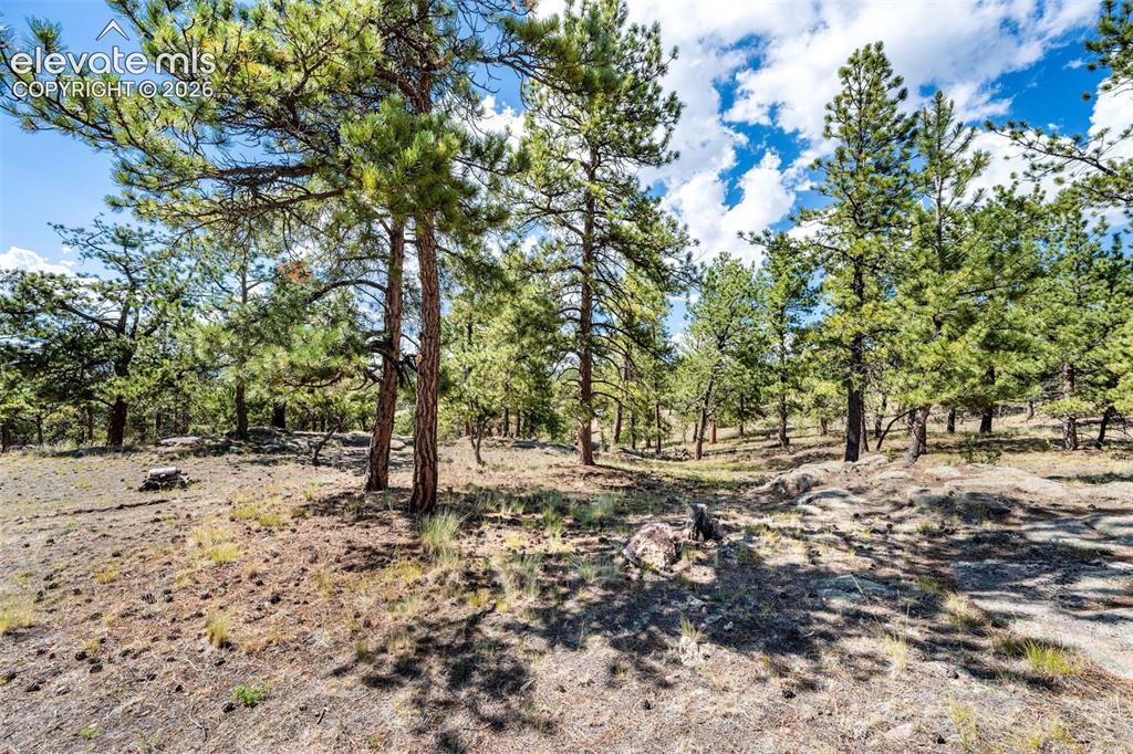 363 Arrowhead Drive Florissant CO 80816