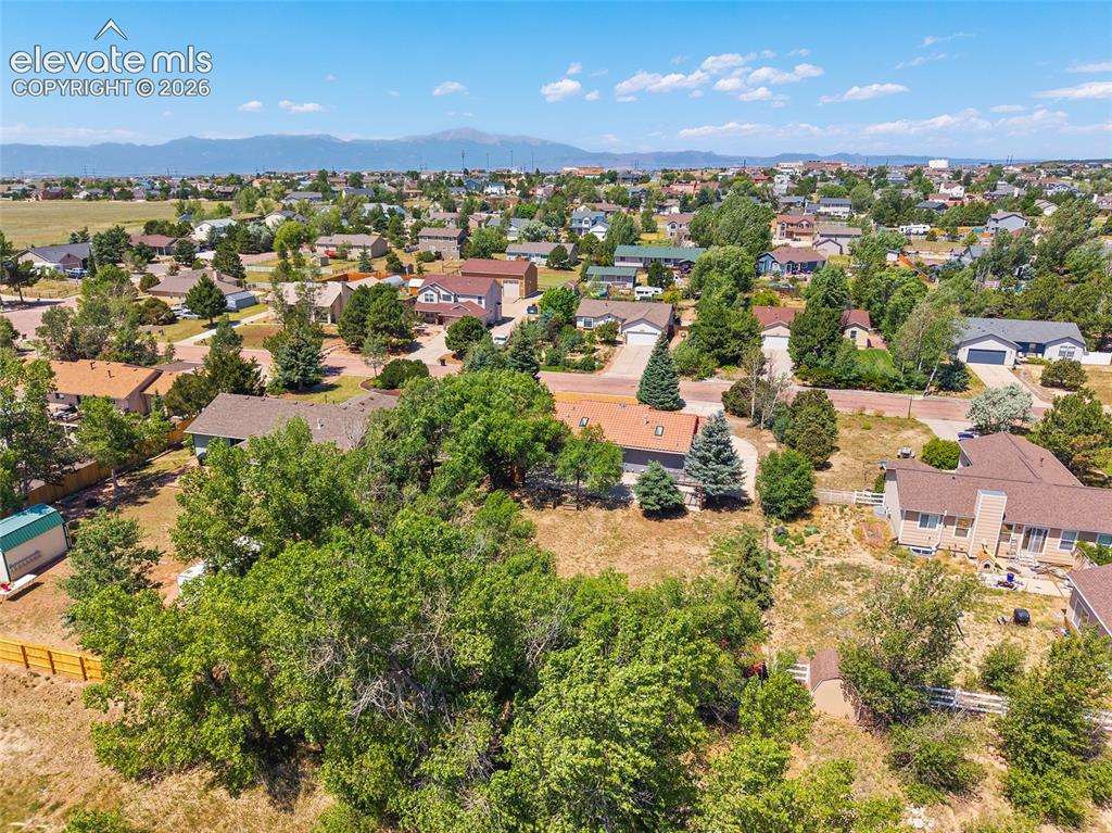 11559 Cranston Drive Peyton CO 80831