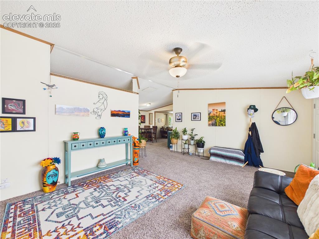 1047 S Saddlerock Drive Pueblo West CO 81007