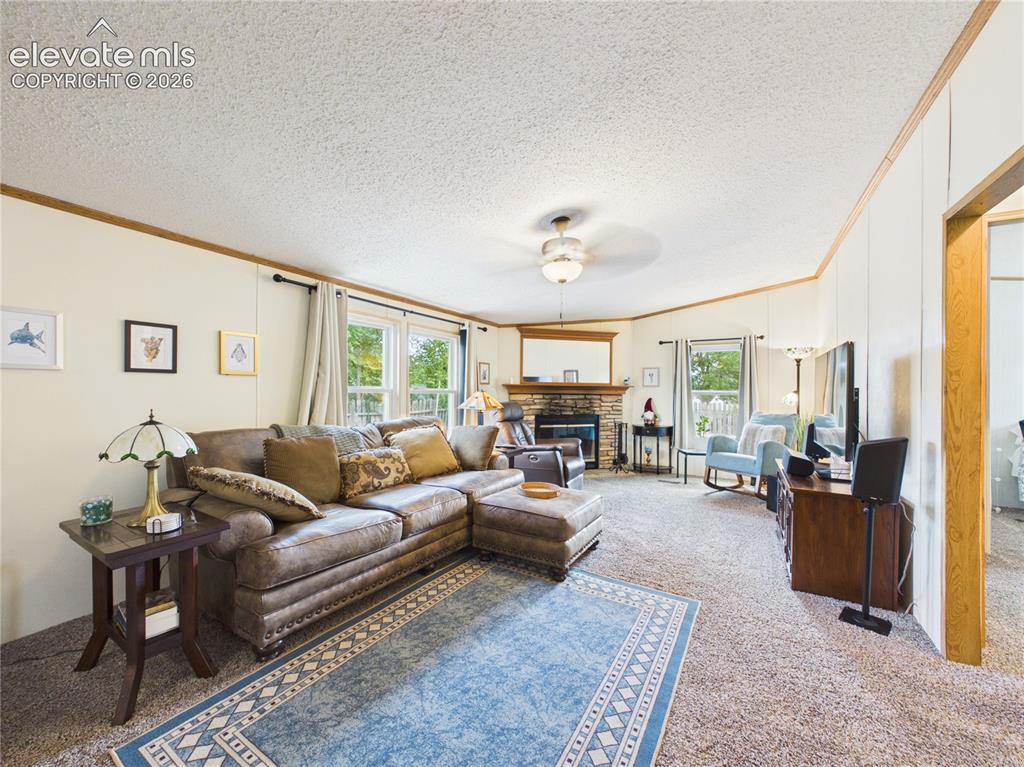 1047 S Saddlerock Drive Pueblo West CO 81007
