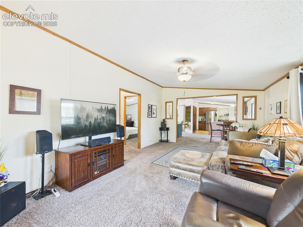 1047 S Saddlerock Drive Pueblo West CO 81007