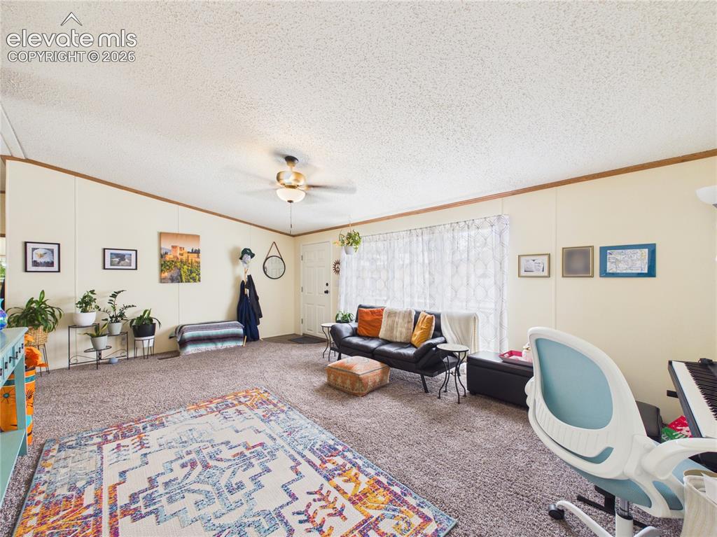 1047 S Saddlerock Drive Pueblo West CO 81007