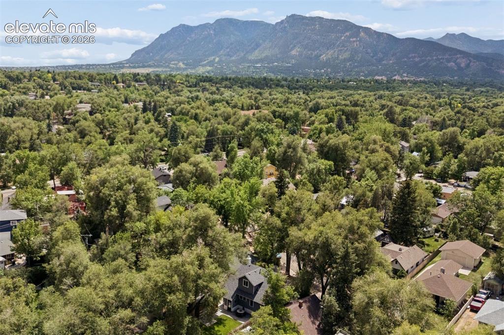 1717 Ivy Place Colorado Springs CO 80905