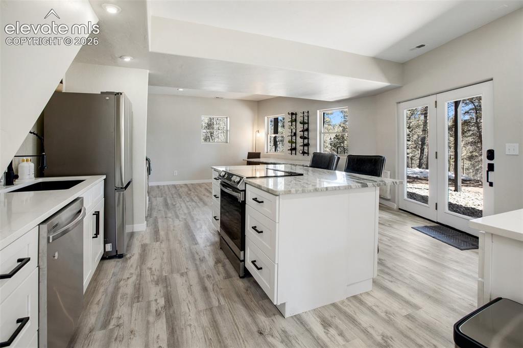 403 Pioneer Creek Drive Florissant CO 80816