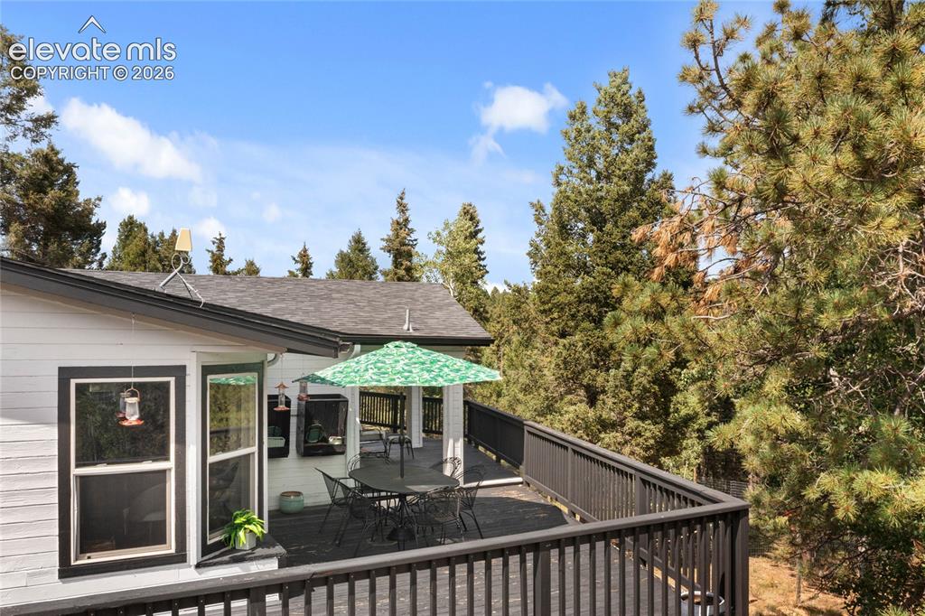 403 Pioneer Creek Drive Florissant CO 80816