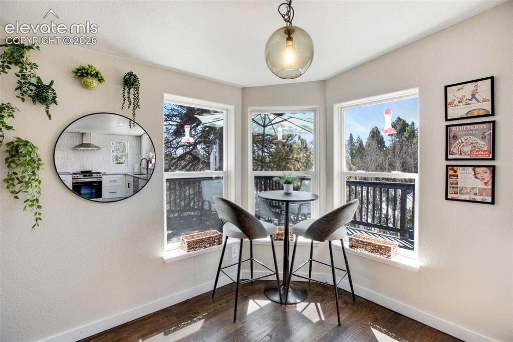 403 Pioneer Creek Drive Florissant CO 80816
