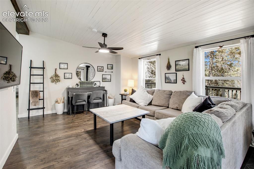 403 Pioneer Creek Drive Florissant CO 80816