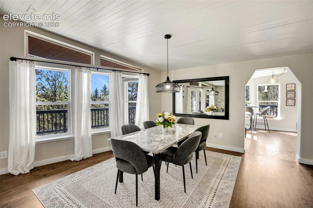 403 Pioneer Creek Drive Florissant CO 80816
