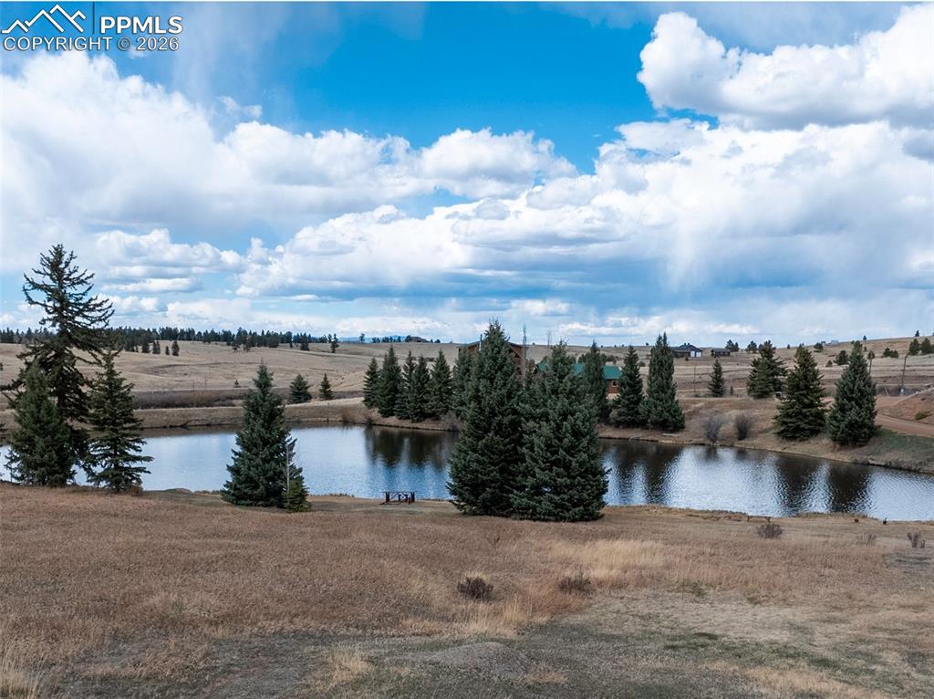 19 Worley Road Divide CO 80814