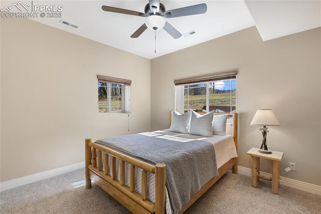 19 Worley Road Divide CO 80814