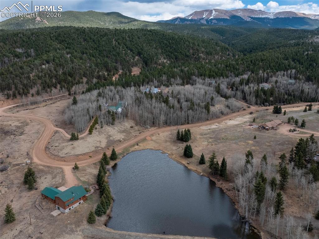 19 Worley Road Divide CO 80814