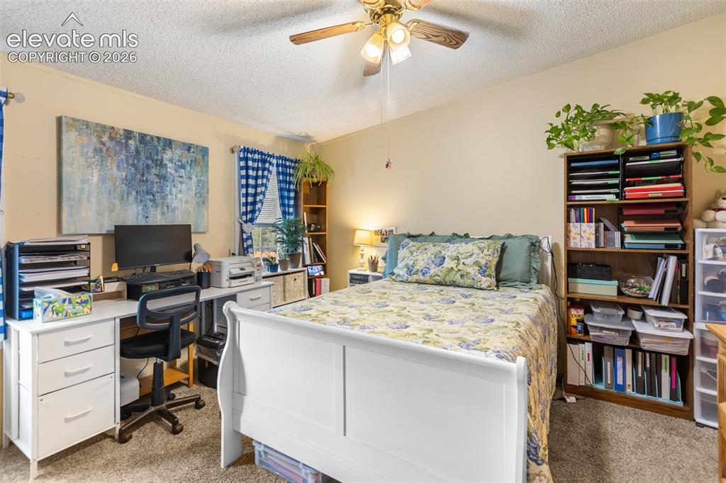 427 S Woodland Avenue Woodland Park CO 80863