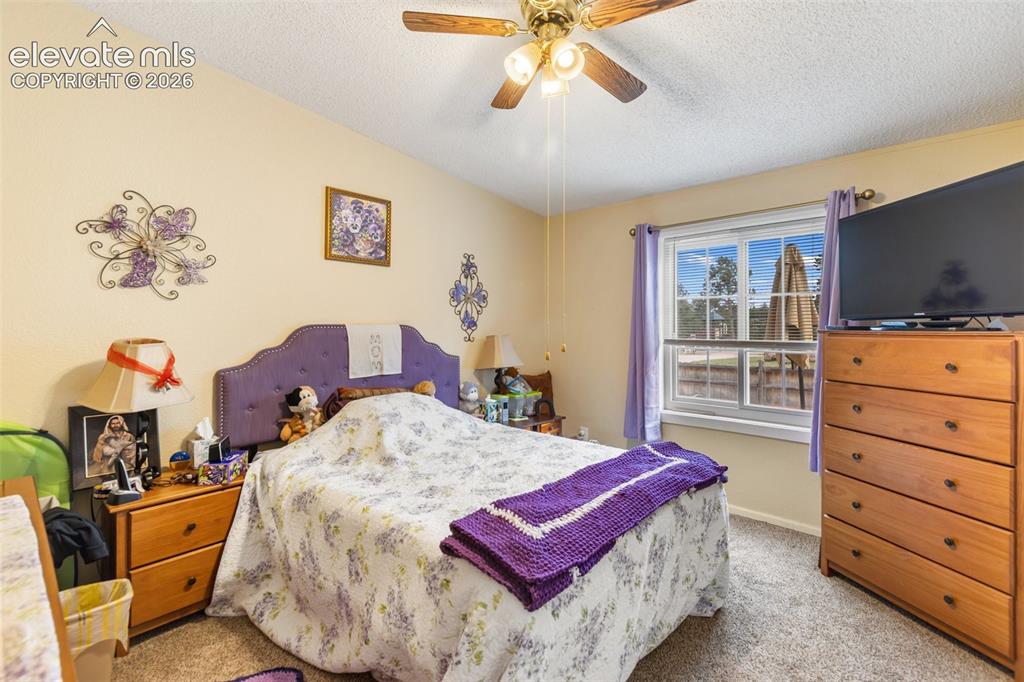 427 S Woodland Avenue Woodland Park CO 80863
