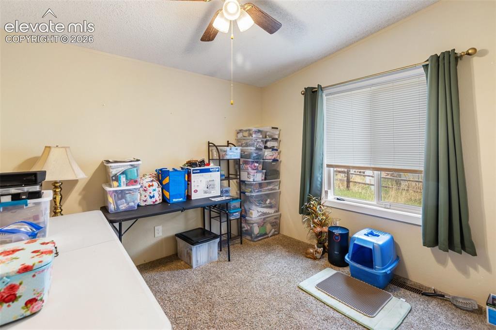 427 S Woodland Avenue Woodland Park CO 80863