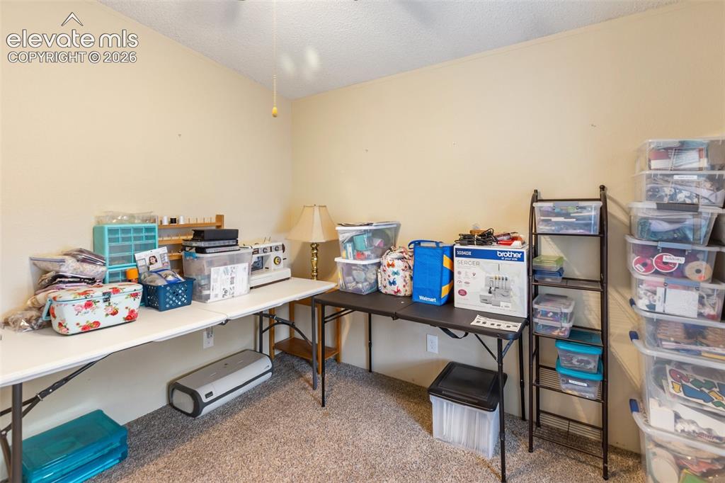 427 S Woodland Avenue Woodland Park CO 80863