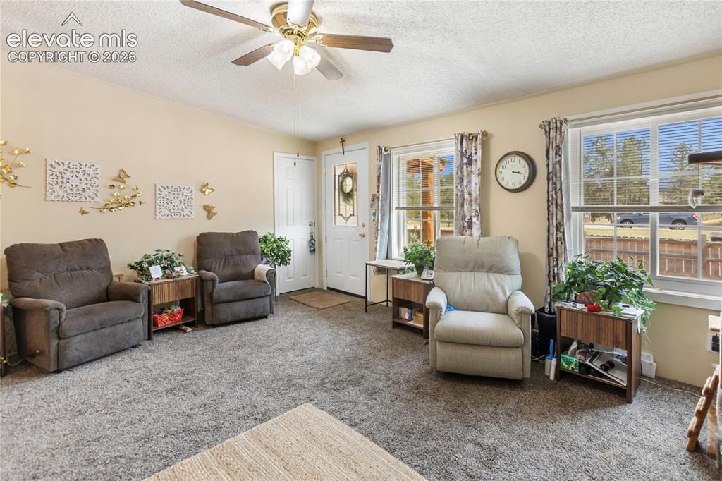 427 S Woodland Avenue Woodland Park CO 80863