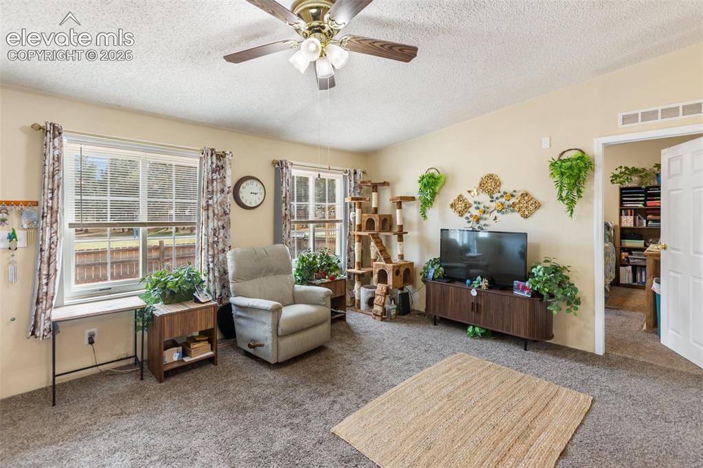 427 S Woodland Avenue Woodland Park CO 80863
