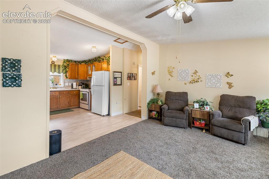 427 S Woodland Avenue Woodland Park CO 80863