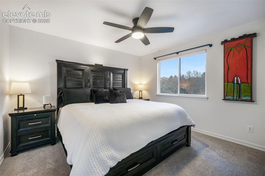 556 Coyote Willow Drive Colorado Springs CO 80921