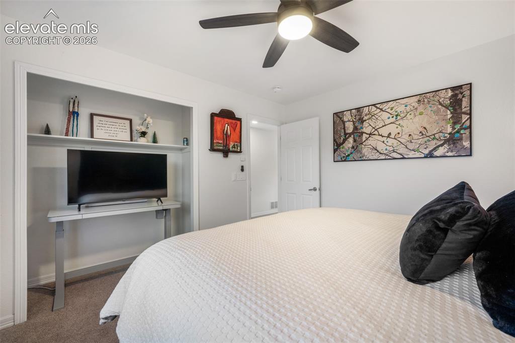556 Coyote Willow Drive Colorado Springs CO 80921
