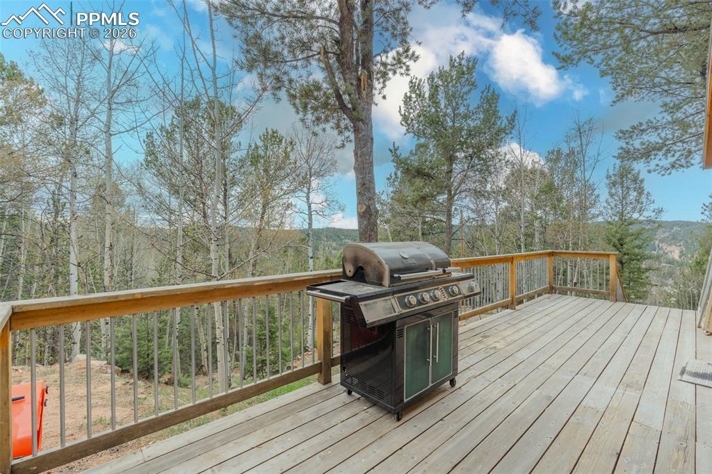 847 Timber Ridge Road Divide CO 80814
