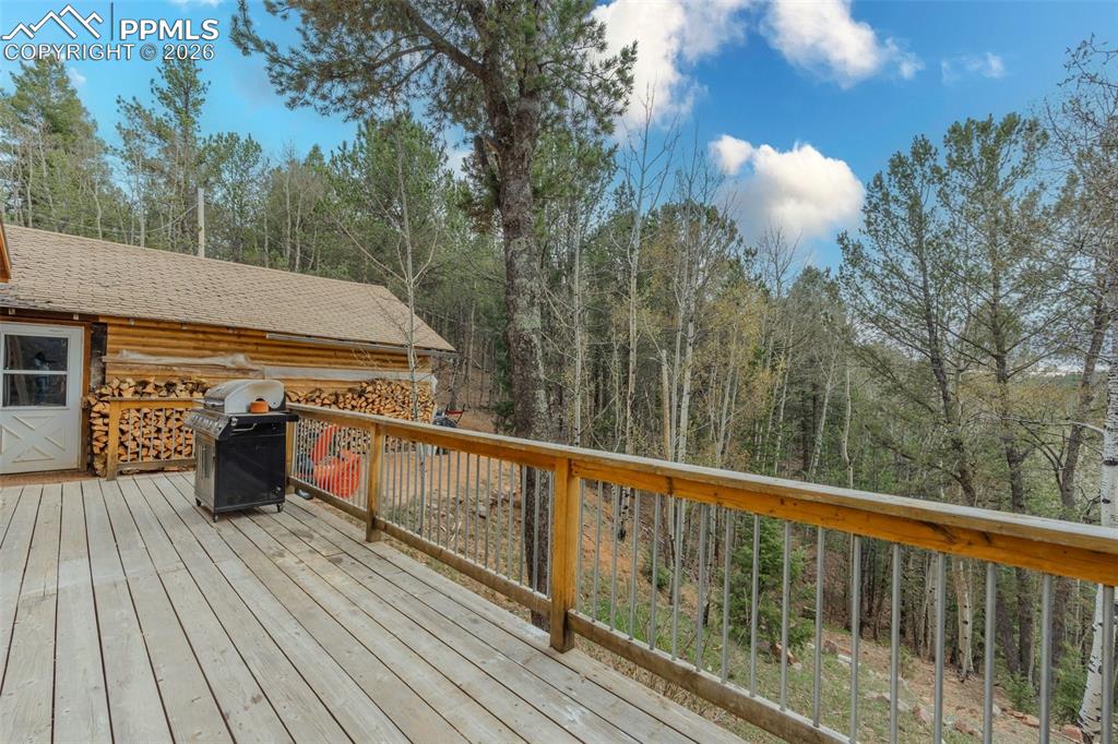 847 Timber Ridge Road Divide CO 80814