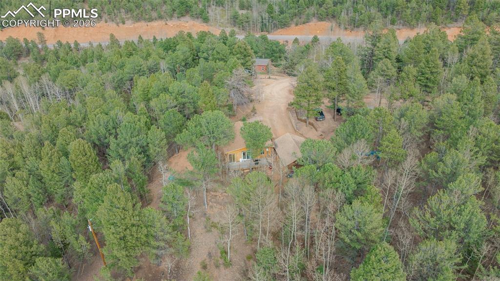 847 Timber Ridge Road Divide CO 80814