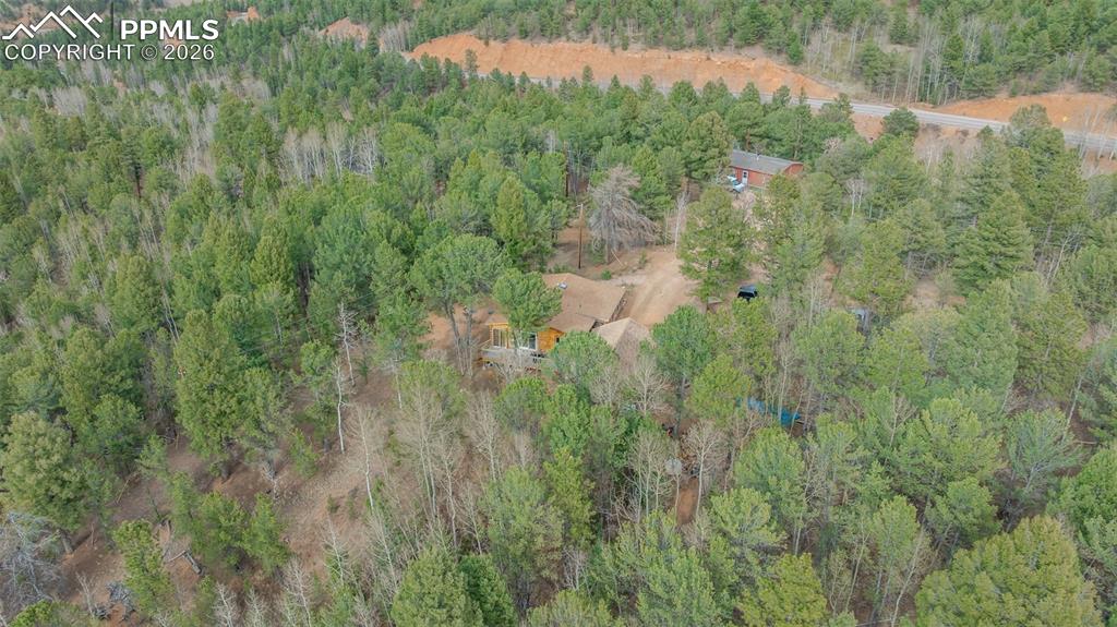 847 Timber Ridge Road Divide CO 80814