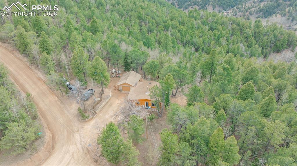 847 Timber Ridge Road Divide CO 80814