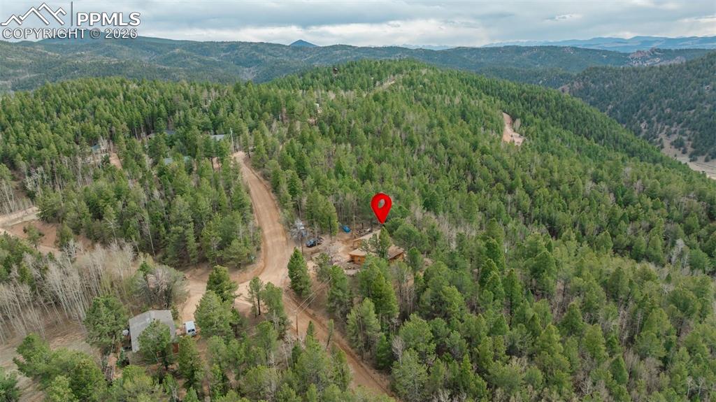 847 Timber Ridge Road Divide CO 80814