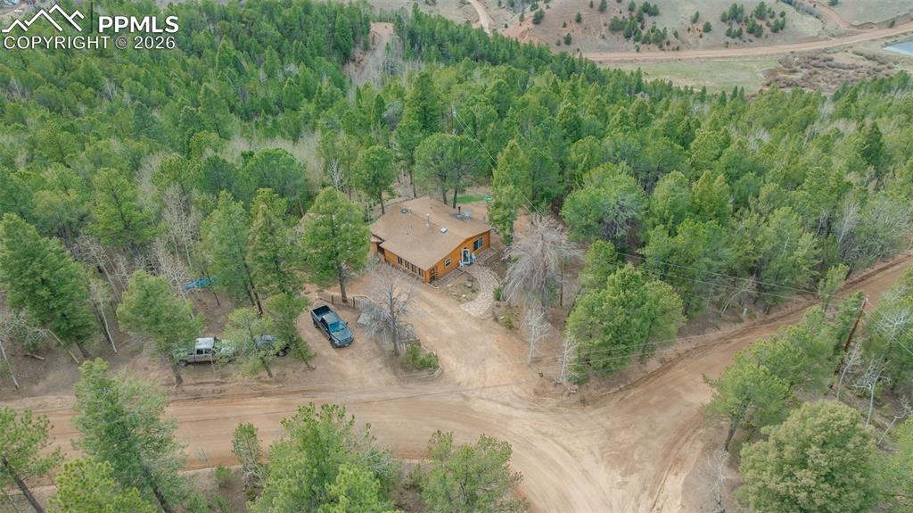 847 Timber Ridge Road Divide CO 80814