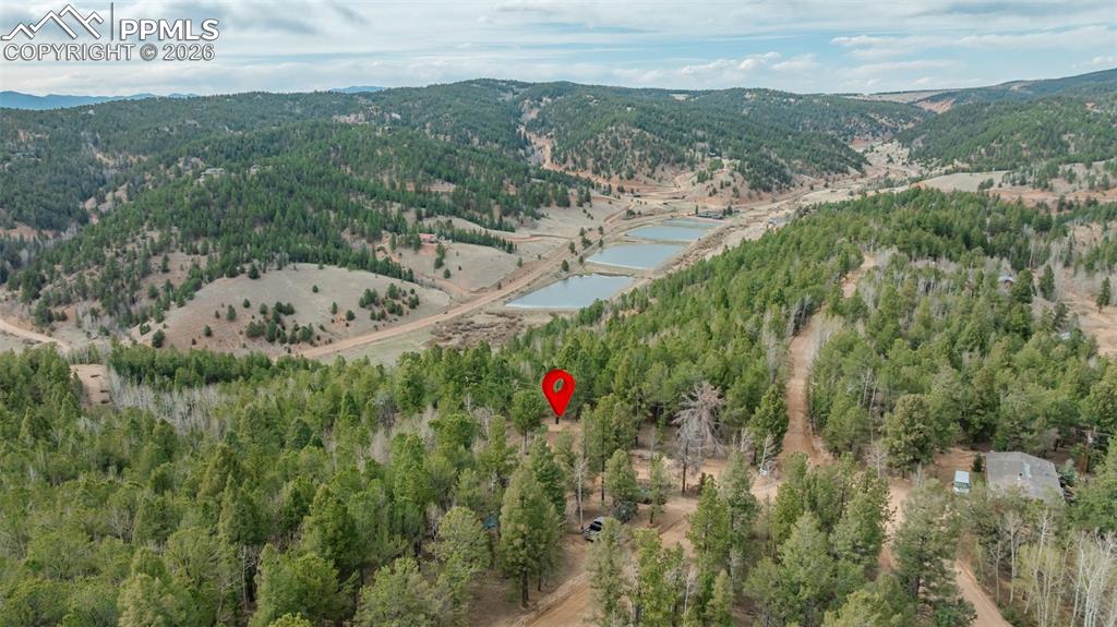 847 Timber Ridge Road Divide CO 80814