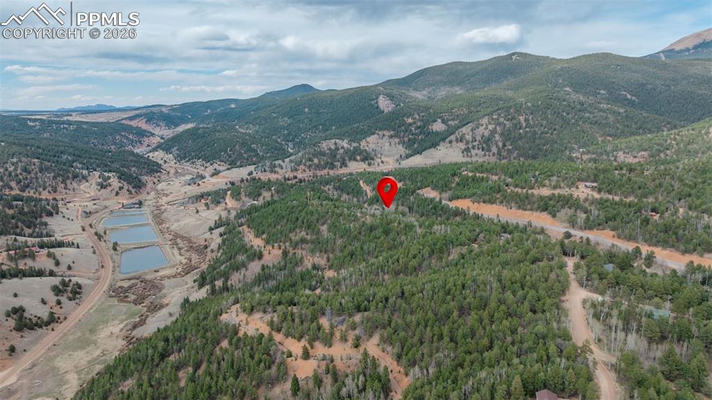 847 Timber Ridge Road Divide CO 80814