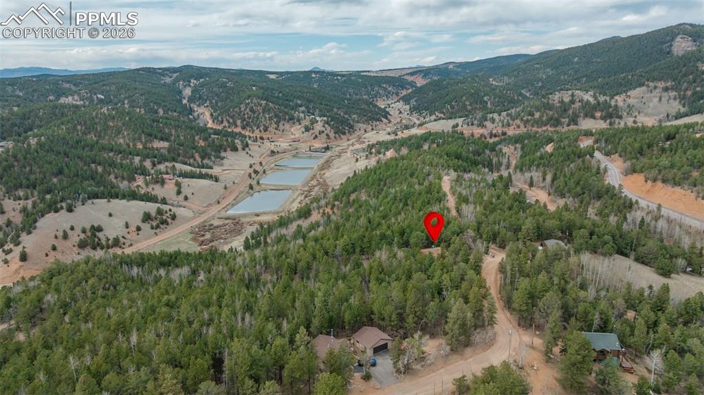 847 Timber Ridge Road Divide CO 80814