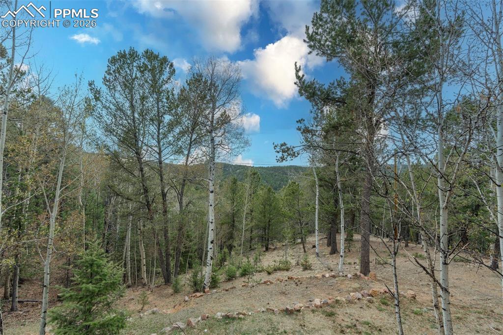 847 Timber Ridge Road Divide CO 80814