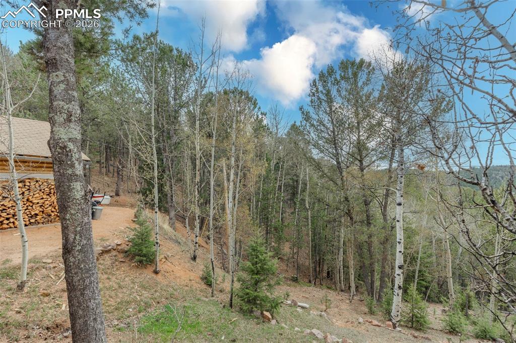847 Timber Ridge Road Divide CO 80814
