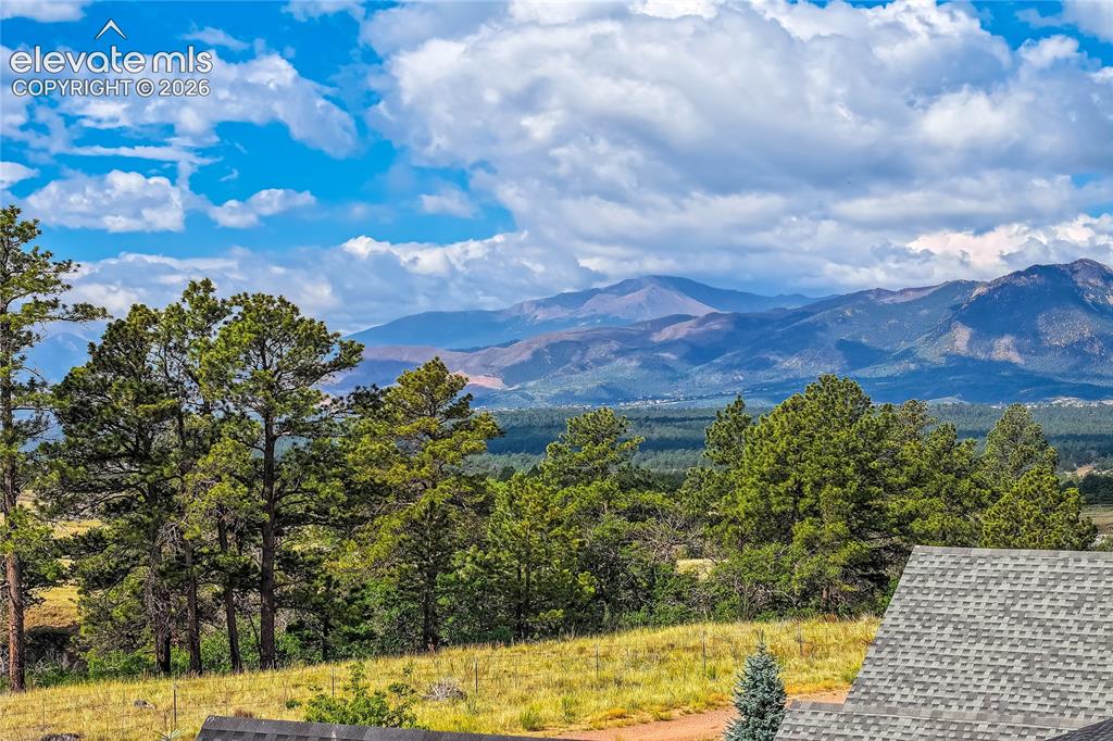 11824 Alydar Loop Colorado Springs CO 80921