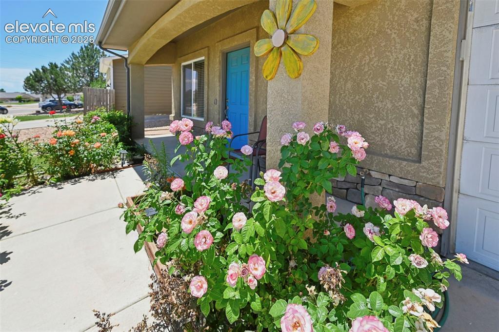 5053 Killdeer Drive Pueblo CO 81008
