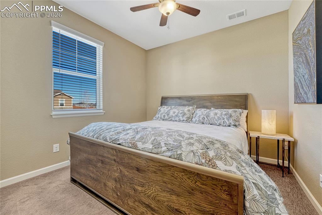 448 Blue Teal Drive Castle Rock CO 80104