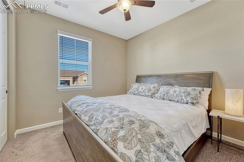 448 Blue Teal Drive Castle Rock CO 80104