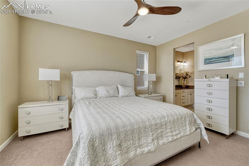 448 Blue Teal Drive Castle Rock CO 80104