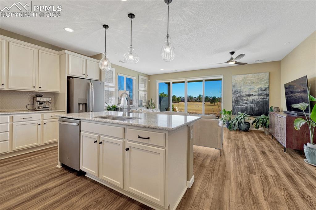 448 Blue Teal Drive Castle Rock CO 80104