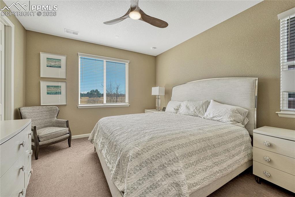 448 Blue Teal Drive Castle Rock CO 80104