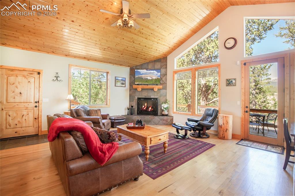 416 Foxtail Drive Fairplay CO 80440