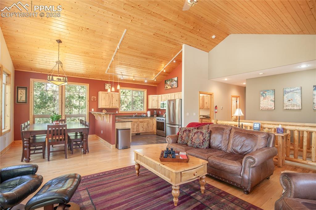 416 Foxtail Drive Fairplay CO 80440