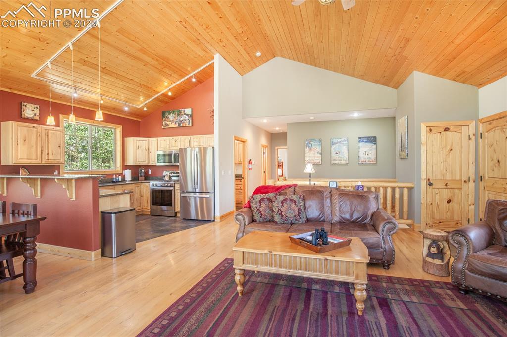 416 Foxtail Drive Fairplay CO 80440