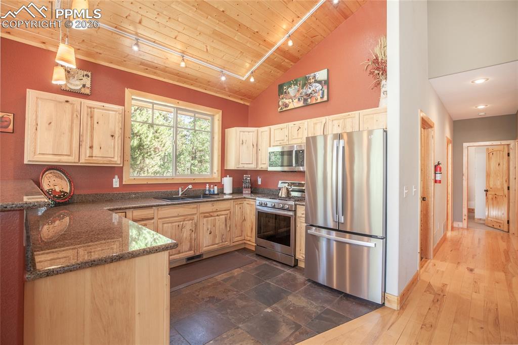 416 Foxtail Drive Fairplay CO 80440