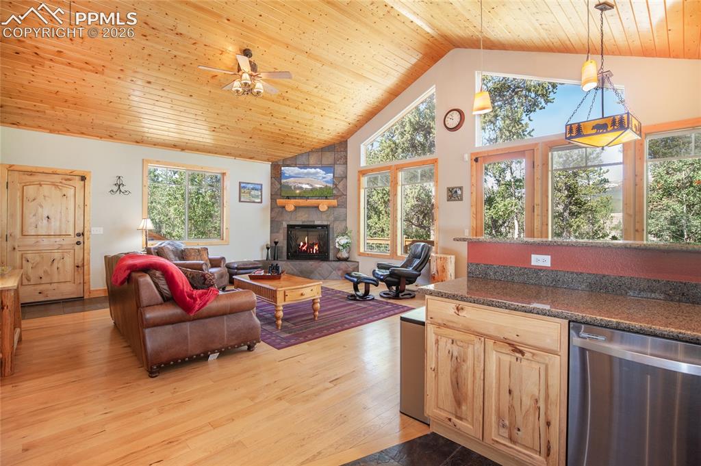 416 Foxtail Drive Fairplay CO 80440