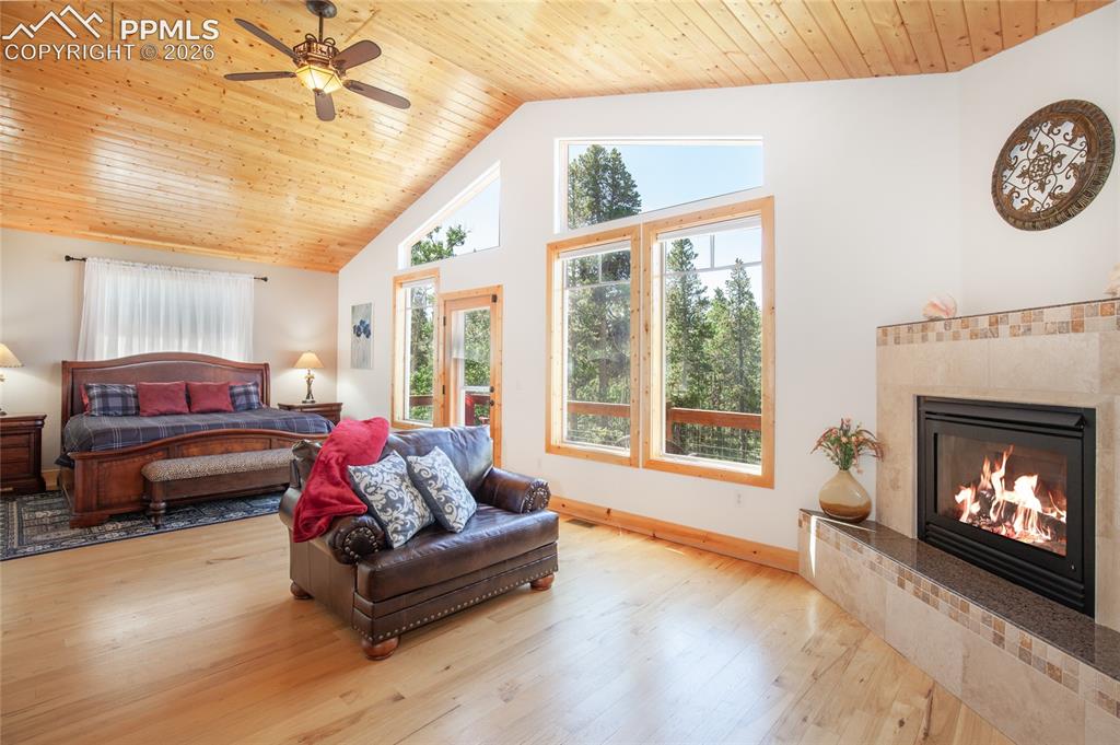 416 Foxtail Drive Fairplay CO 80440
